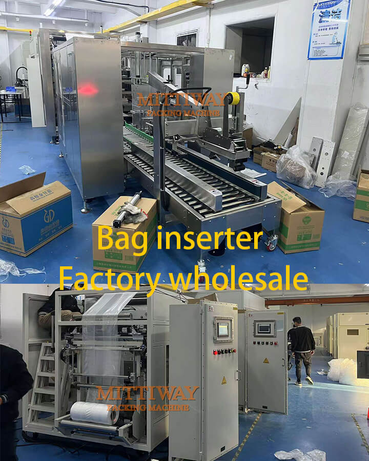 Bag maker inserter manufacture food packaging line