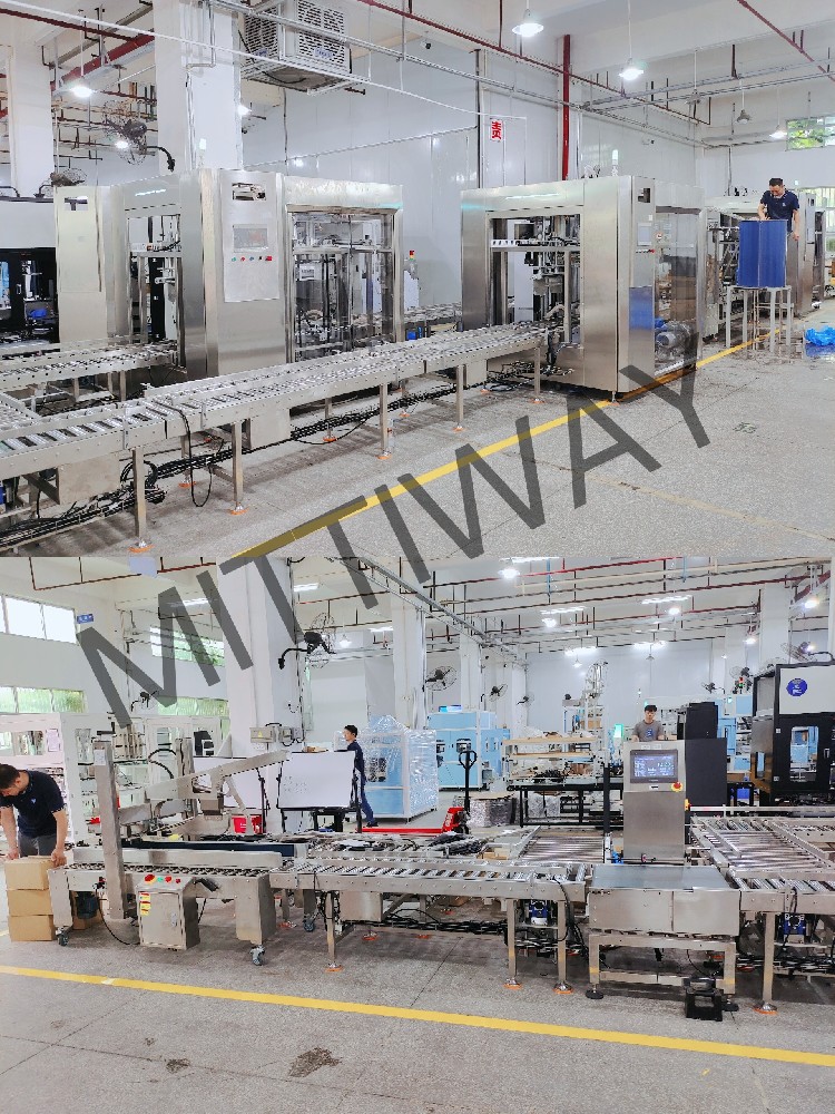 Stainless Steel Duplex Fats and Oils Food Packaging Machine