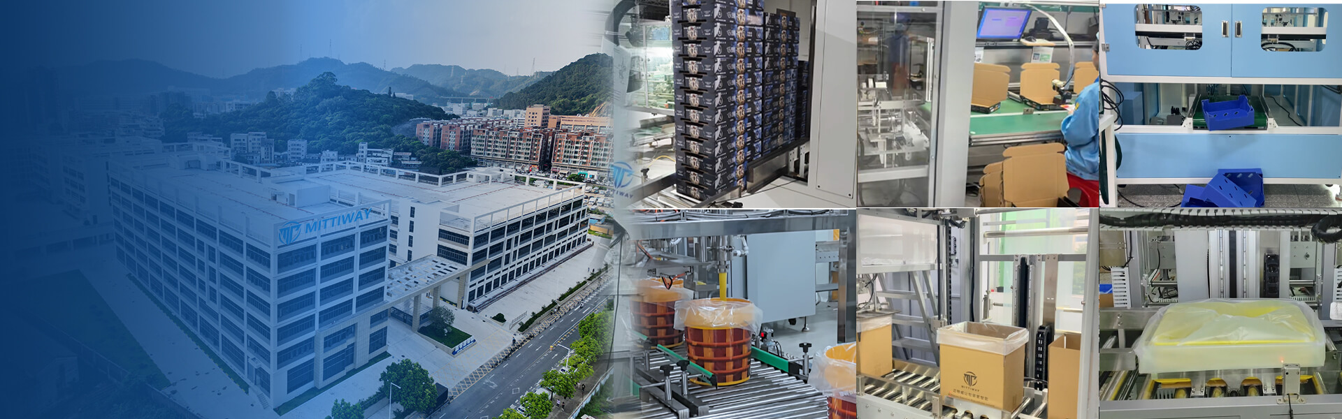 Professional Leading Packaging Machine Manufacture