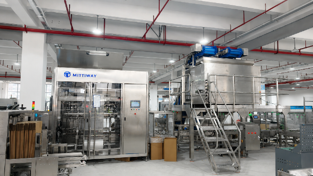 Cashew Packaging Line Solution